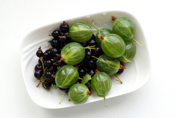 Gooseberry and currants in a bowl