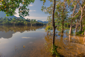 Obraz premium Natural background of a large reservoir in Krabi,Thailand(Nong Thale)atmosphere surrounded by mountains,trees of various sizes, blown through the wind,blurred cool during the day,a viewpoint of travel