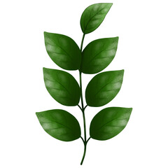 Watercolor green leaves clipart. Hand drawn plant illustration isolated on white background.
