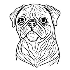 Hand drawn vector illustration Pug. Sketch style dog. Animal portrait.