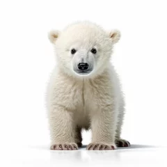 Foto op Canvas Baby Polar bear isolated on white (generative AI) © HandmadePictures