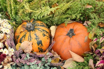 Pumpkins and autumn flowers on a haystacks. Harvest time on a farm. Fall fair of fresh organic vegetables. Festive decor in garden. Agriculture market. Rural scene. Vegetarian and vegan food day.