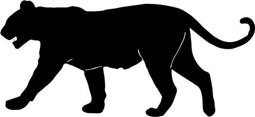 silhouette of a tiger