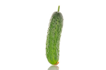 One ripe cucumber gherkin, macro, isolated on white background.