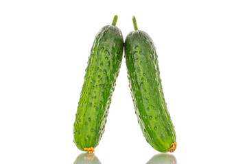 Two ripe green cucumbers, macro, isolated on white background.