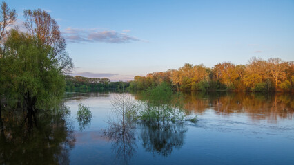 spring trees reflected in water