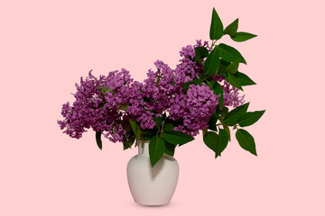 In a white plaster vase, a bouquet of lilacs. On a pink background.