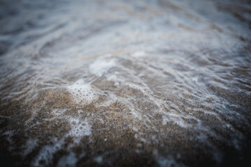 Ocean