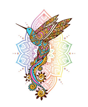 Hummingbird zen ornament mandala. Vector illustration. Colibri