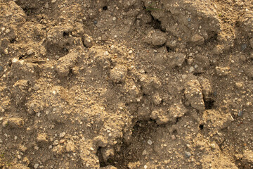 soil of soil