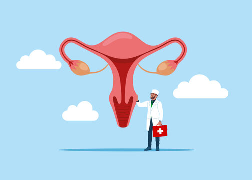 The physician, specialist holds a big sign - female reproductive system. Flat vector illustration. 