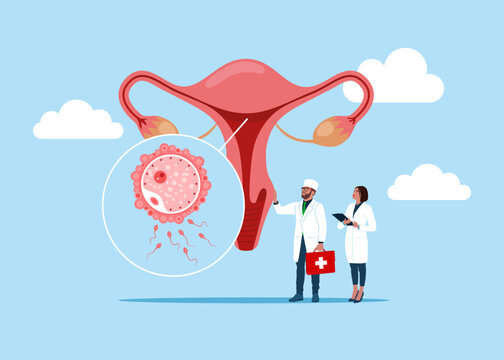 The physician, specialist holds a big sign - female reproductive system. Tracking menstrual cycle and female reproductive system. Menstruation calendar. Female menstrual cycle. Vector illustration. 