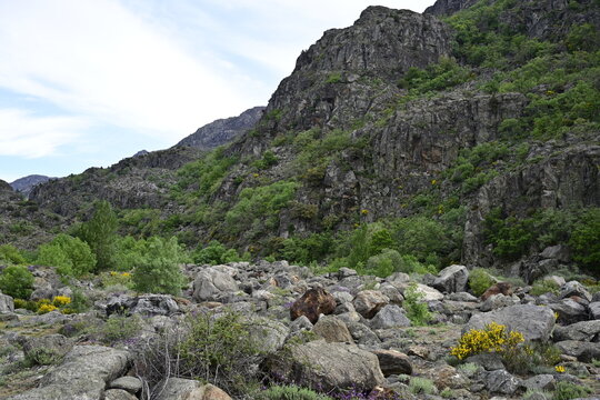 Ruta del ca&ntilde;on del rio Tera