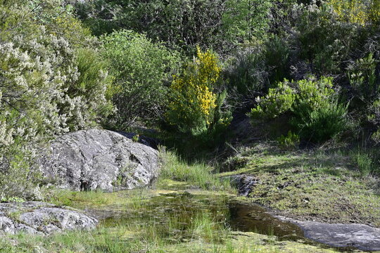 Ruta del ca&ntilde;on del rio Tera