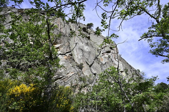 Ruta del ca&ntilde;on del rio Tera