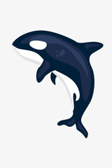 Fototapeta premium Vector killer whale (an orca)