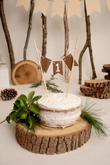 Simple, woodland first birthday cake smash birthday cake