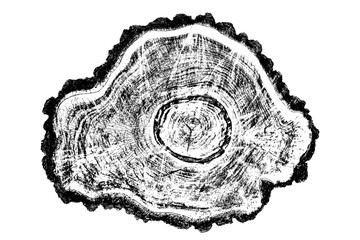 Wood texture cross section of tree rings. Cut slice of wooden stump isolated on white. Textured surface with rings and cracks. Black background made of hardwood from the forest. Vector illustration.