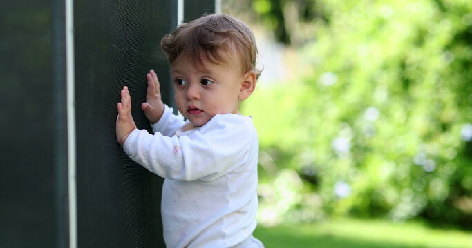 Baby toddler standing next to pool fence outside. Pool barrier prevention