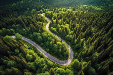 Aerial view of winding road leading through alpine forest. Generative AI. - 599350422