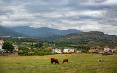 A pastoral village idyll in the La Vera Valley. Cuacos de Yuste, Extremadura, Spain.