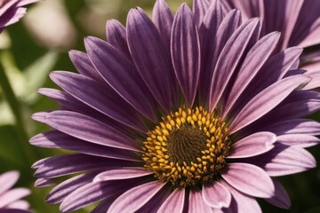 Pattern of pink, violet gerbera, bright flowers, colorful daisy-like flowers from early spring garden. Generative AI