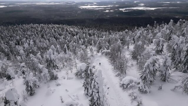 Winter resort hills covered by snow on a winter day. Clip. Mountain forest and ski slopes, lonely hiker walking along.