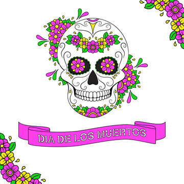 Day of The Dead colorful Skull with floral ornament and ribbon with text Dia De Los Muertos. Mexican sugar skull. Illustration on transparent background