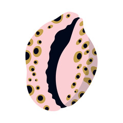 Sea shell, sink cartoon. Ocean exotic underwater seashell conch aquatic mollusk, sea spiral snail, marine starfish collection. Tropical beach shells nature aquatic water flat design illustration