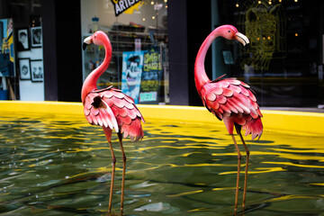 Flamingo Pool