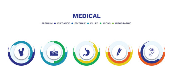 set of medical filled icons. medical filled icons with infographic template. flat icons such as femur, epidermis, stoh, ointment, ear vector.