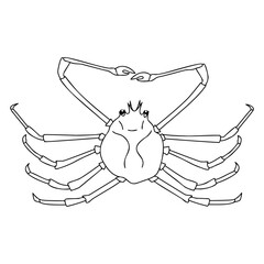 Spider Crab outline illustration on white background. Coloring page, logo, vector illustration.