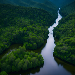Fototapeta na wymiar A bird's eye view of a winding river flowing through a lush green forest