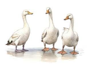Group of three geese in an illustrative waterolor style, generative ai - obrazy, fototapety, plakaty