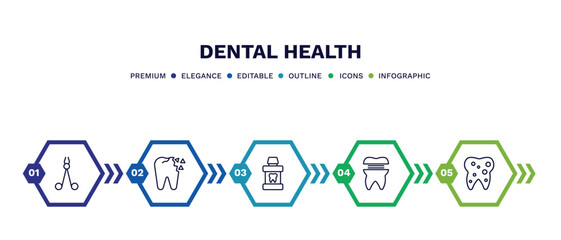 set of dental health thin line icons. dental health outline icons with infographic template. linear icons such as dentist scissors, holed tooth, mouth wash, molar crown, inner tooth vector.