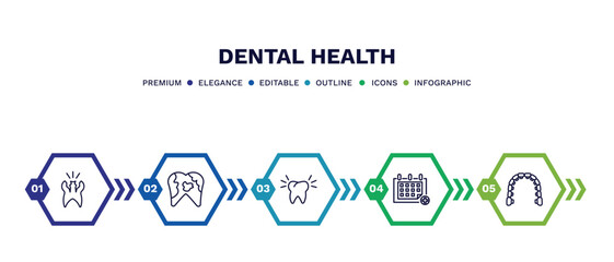 set of dental health thin line icons. dental health outline icons with infographic template. linear icons such as cavity, dental plaque, clean tooth, medical appointment, lingual braces vector.