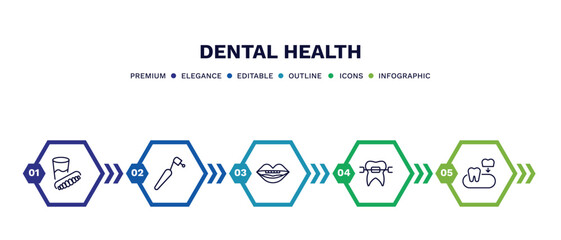 set of dental health thin line icons. dental health outline icons with infographic template. linear icons such as denture, dentists drill tool, oral, brackets, partial denture vector.