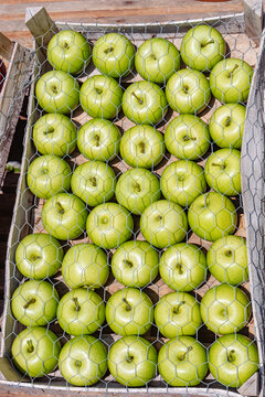 Box of fresh organic green aples sold in a supermarket, closeup, details.