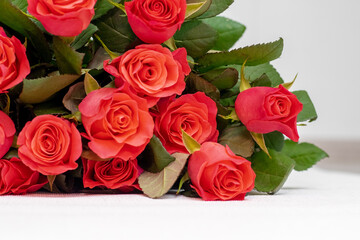 Red roses. A bouquet of red roses for congratulating on the holiday