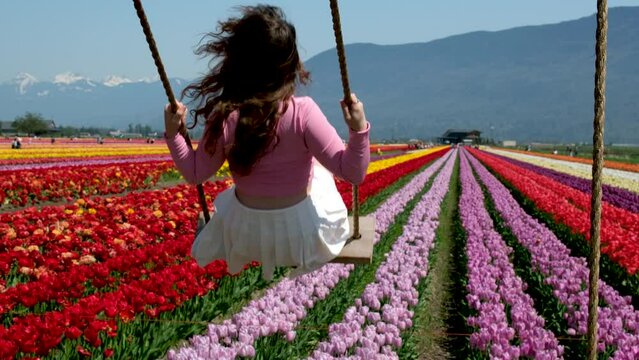 Young attractive blond woman in white summer dress swings on chain swing in coloful tulip fields. space for text ad travel vacation relaxation slow motion video Chilliwack. British Columbia. Canada