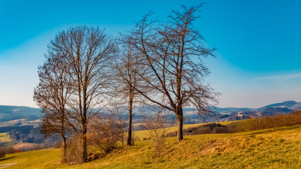 Obraz premium Winter landscape on a sunny day near Herrnfehlburg, Rattiszell, Bavarian forest, Straubing-Bogen, Bavaria, Germany