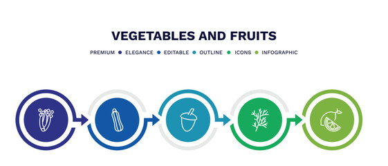 set of vegetables and fruits thin line icons. vegetables and fruits outline icons with infographic template. linear icons such as celery, courgette, acorn, dill, lemon vector.