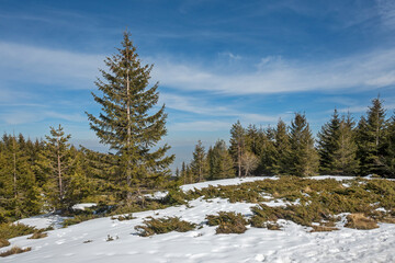 Winter landscape of Vitosha Mountain, Bulgaria