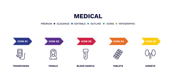 set of medical thin line icons. medical outline icons with infographic template. linear icons such as transfusion, female, blood sample, tablets, kidneys vector.
