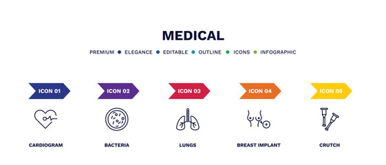 set of medical thin line icons. medical outline icons with infographic template. linear icons such as cardiogram, bacteria, lungs, breast implant, crutch vector.