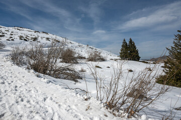 Winter landscape of Vitosha Mountain, Bulgaria