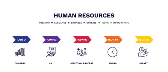 set of human resources thin line icons. human resources outline icons with infographic template. linear icons such as company, cv, selection process, timing, salary vector.