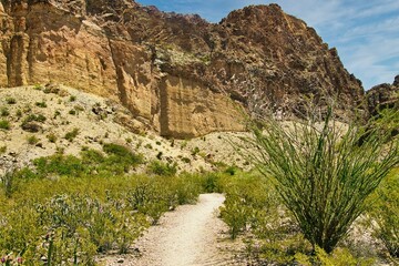 Under a partly cloudy blue sky in Springtime, a hiking trail passes green shrubs in the desert toward a mountain canyon at Big Bend National Park in Brewster County, TX.