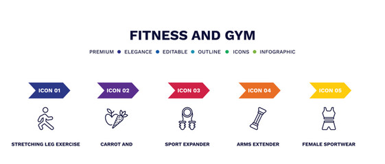 set of fitness and gym thin line icons. fitness and gym outline icons with infographic template. linear icons such as stretching leg exercise, carrot and, sport expander, arms extender, female