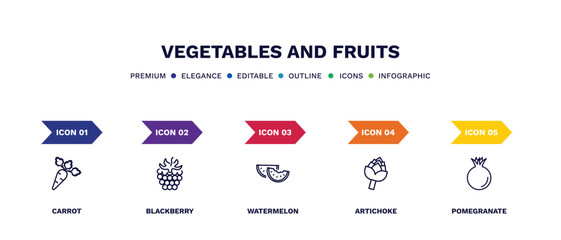 set of vegetables and fruits thin line icons. vegetables and fruits outline icons with infographic template. linear icons such as carrot, blackberry, watermelon, artichoke, pomegranate vector.